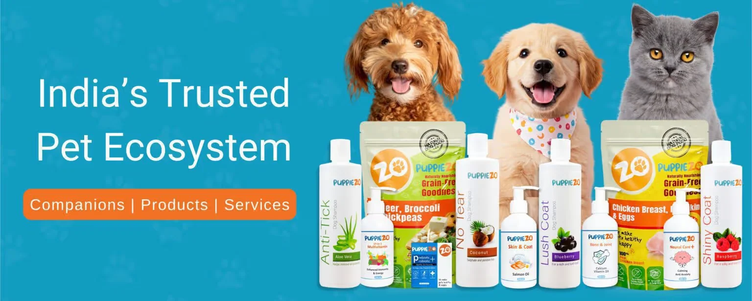 Puppiezo desktop website preview